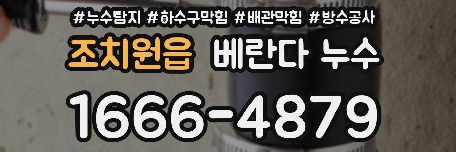 조치원읍 베란다 누수