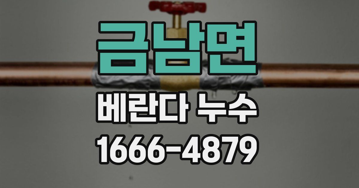 금남면 베란다 누수