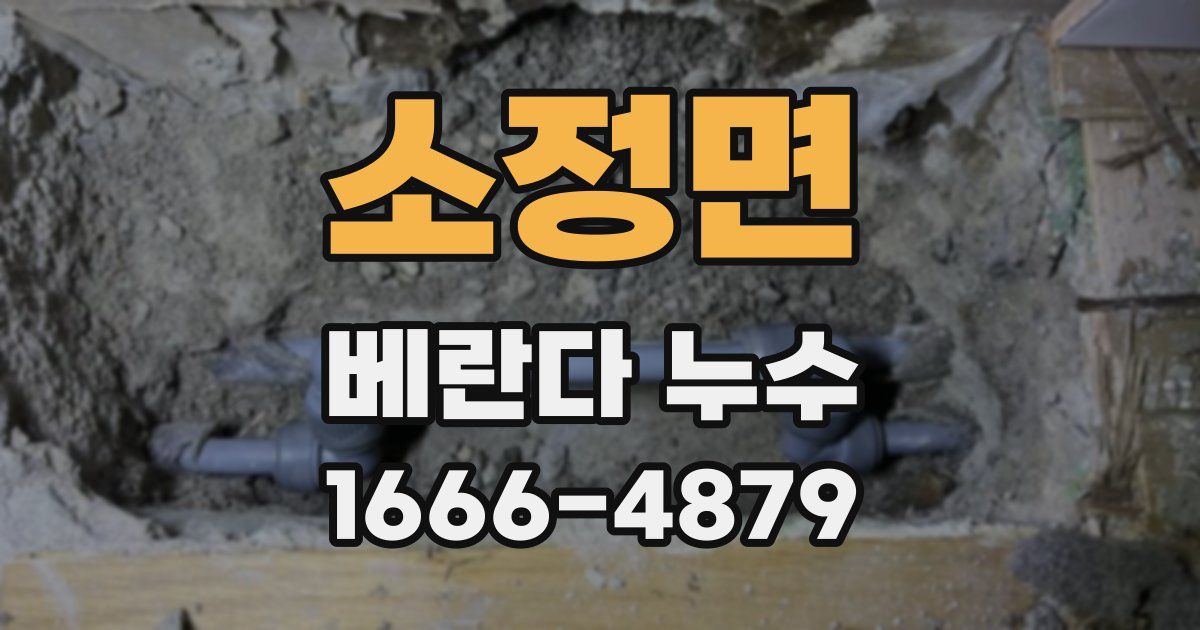 소정면 베란다 누수