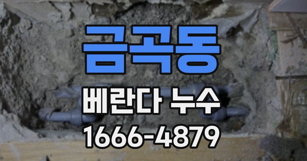 금곡동 베란다 누수