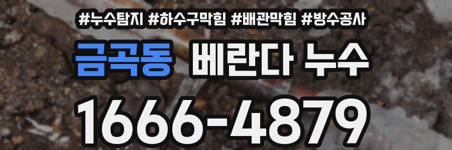 금곡동 베란다 누수