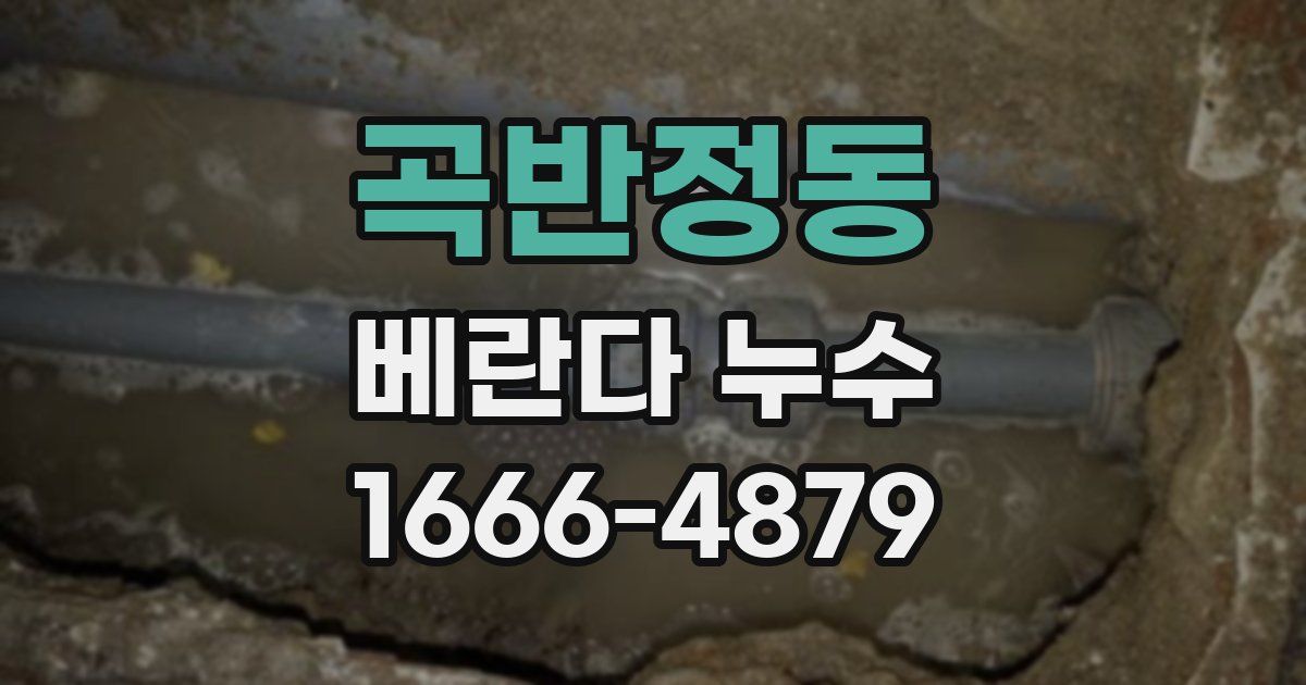 곡반정동 베란다 누수