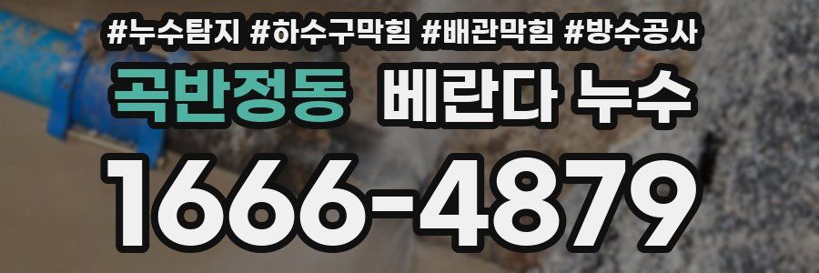 곡반정동 베란다 누수
