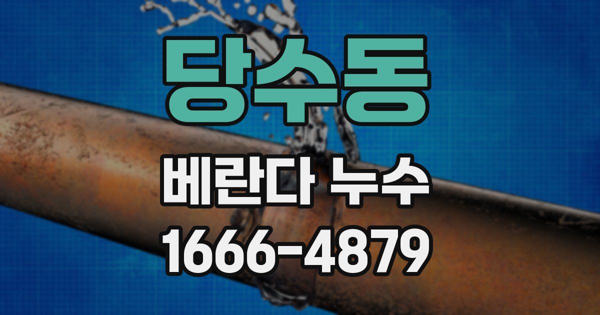 당수동 베란다 누수