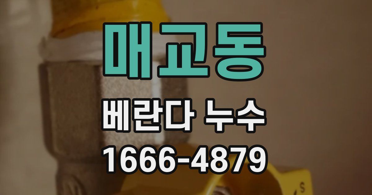 매교동 베란다 누수