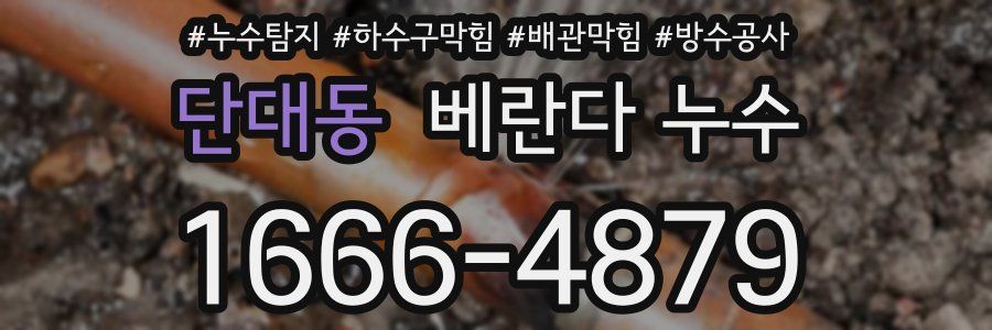 단대동 베란다 누수