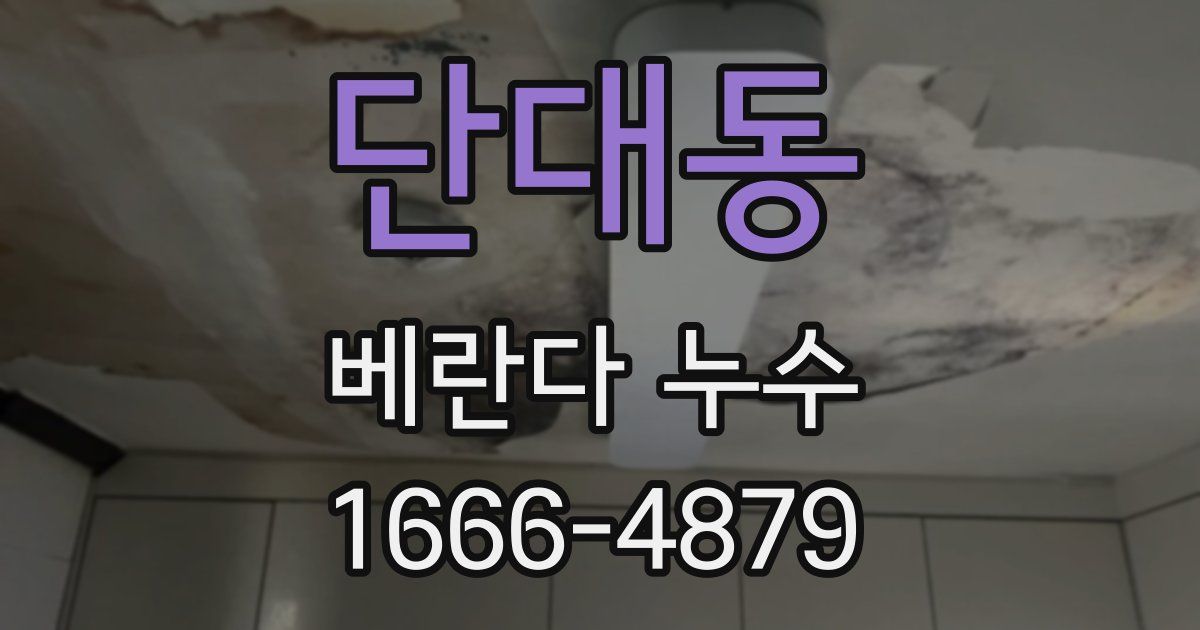 단대동 베란다 누수