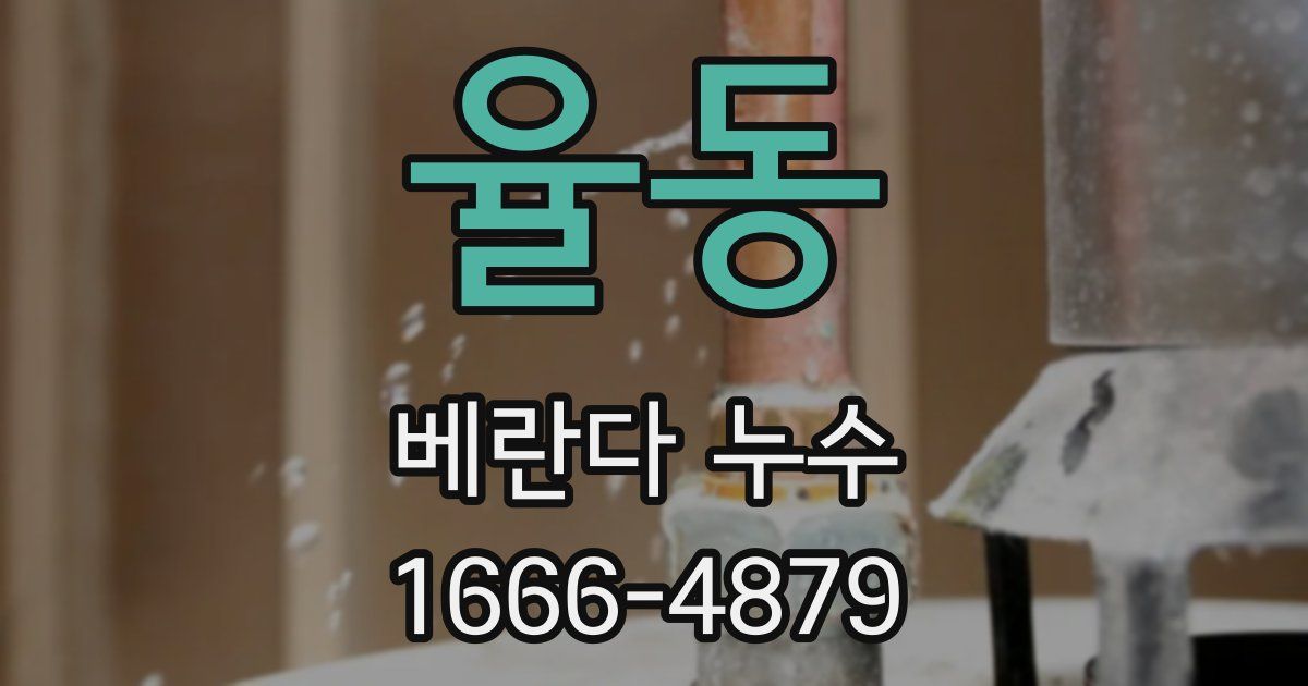 율동 베란다 누수