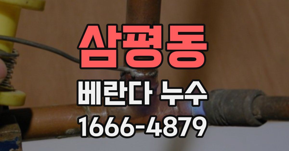삼평동 베란다 누수
