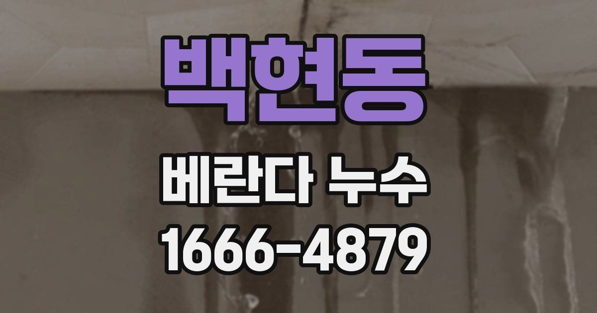백현동 베란다 누수