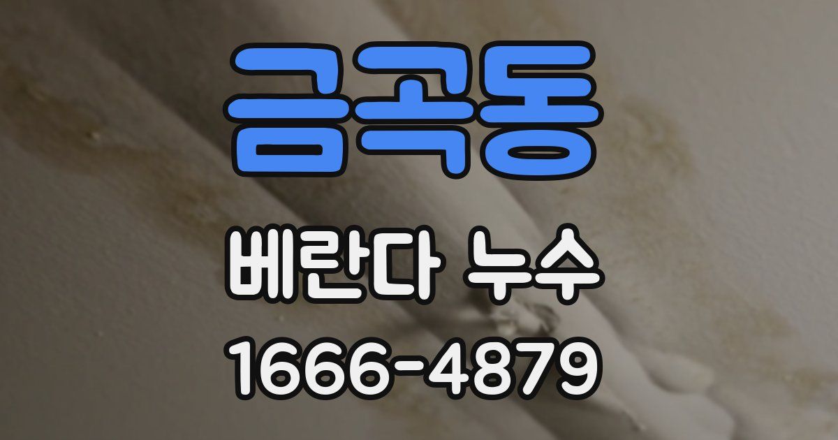 금곡동 베란다 누수