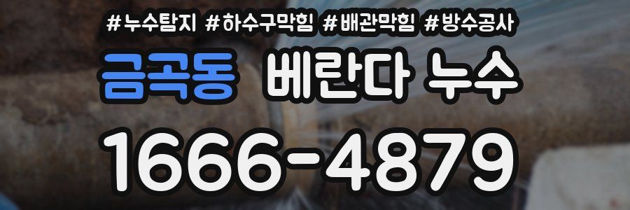 금곡동 베란다 누수
