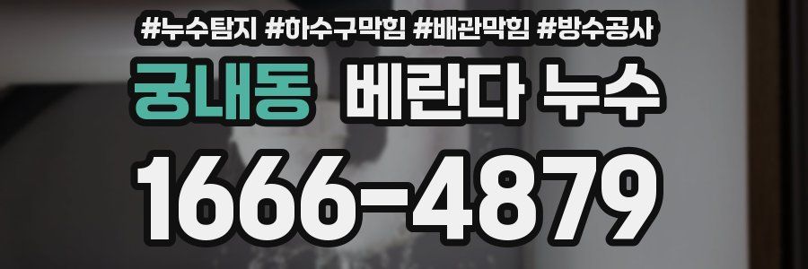 궁내동 베란다 누수