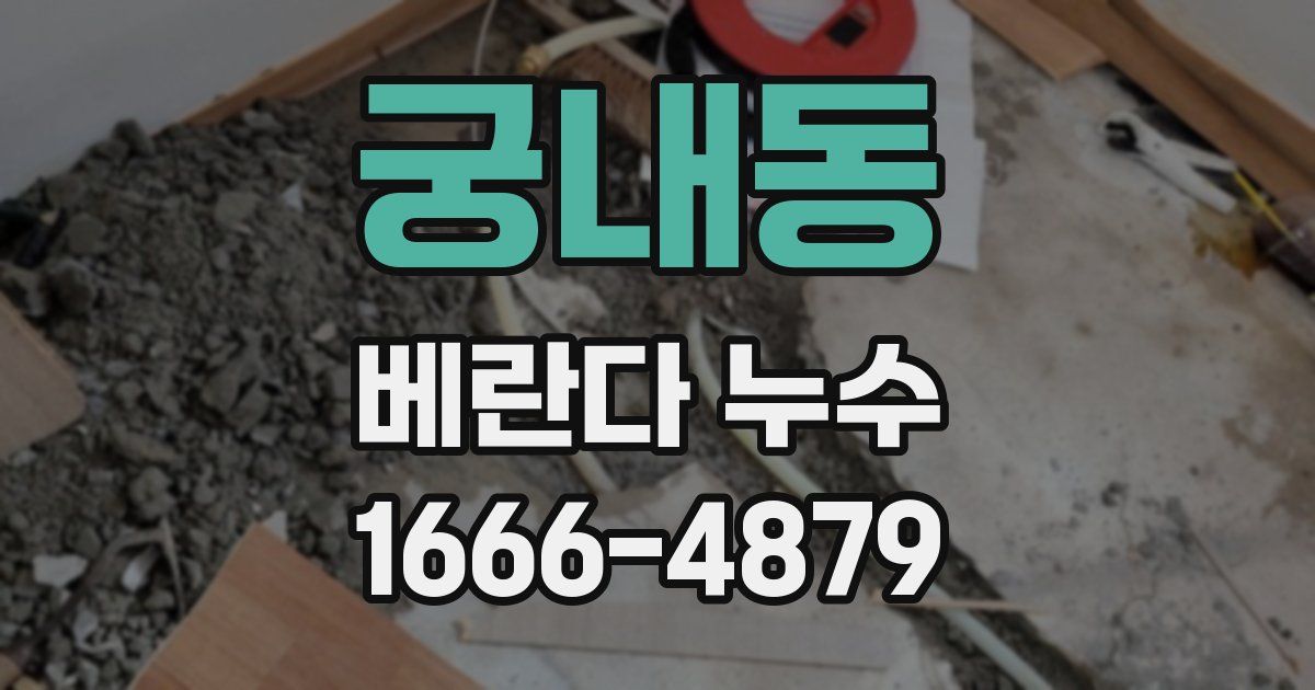 궁내동 베란다 누수