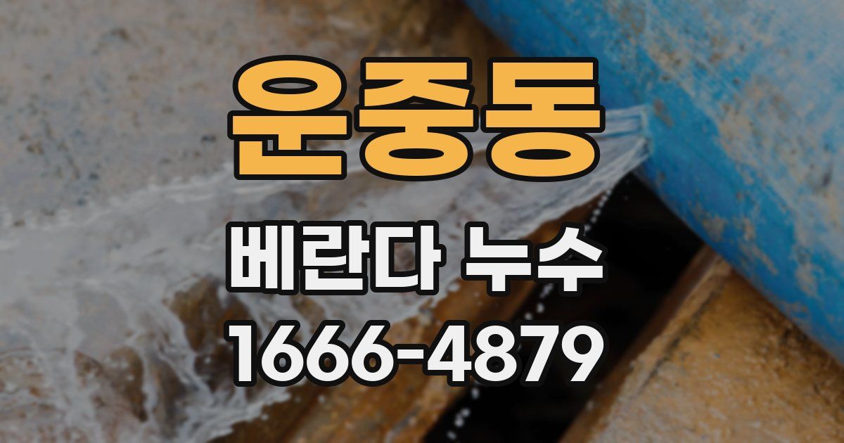 운중동 베란다 누수