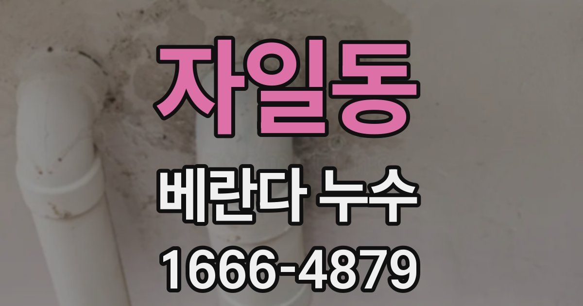 자일동 베란다 누수