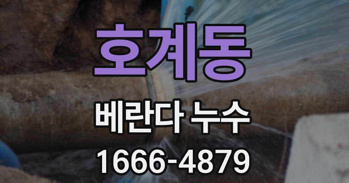 호계동 베란다 누수