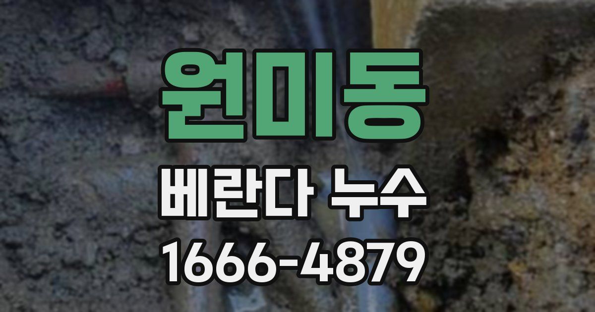 원미동 베란다 누수