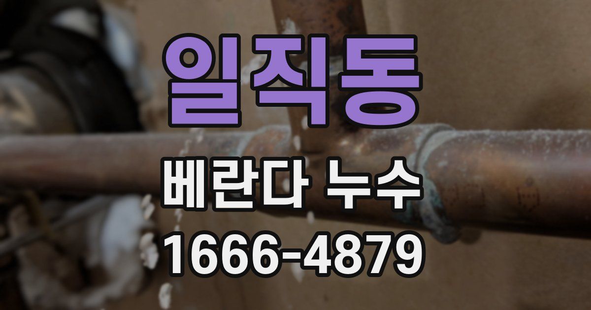 일직동 베란다 누수
