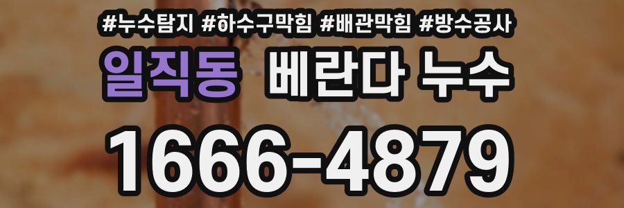 일직동 베란다 누수