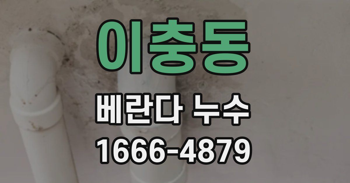 이충동 베란다 누수