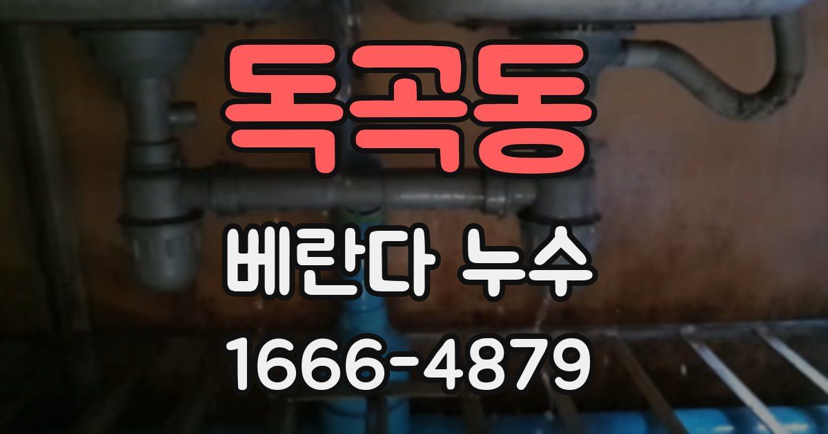 독곡동 베란다 누수