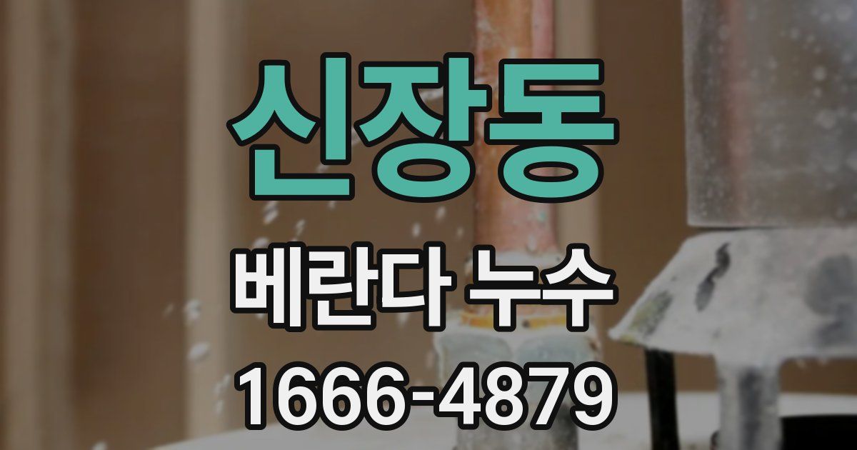 신장동 베란다 누수