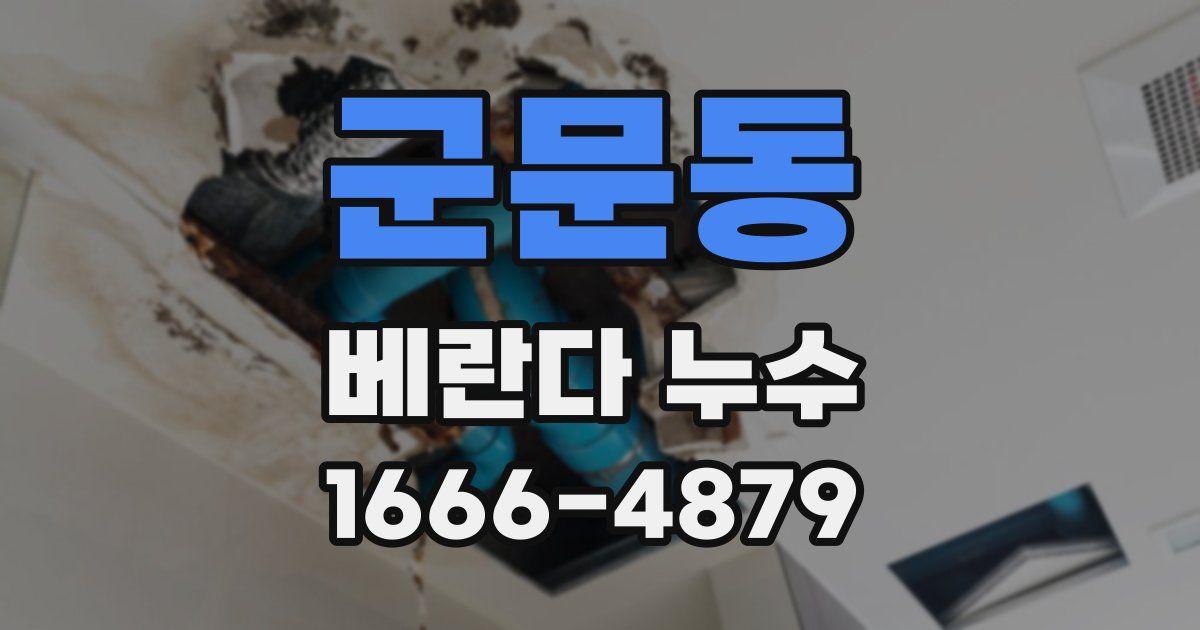 군문동 베란다 누수