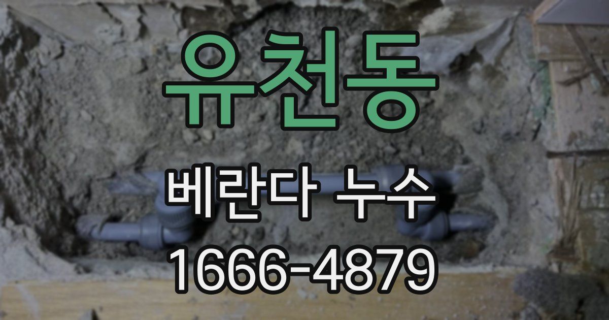 유천동 베란다 누수