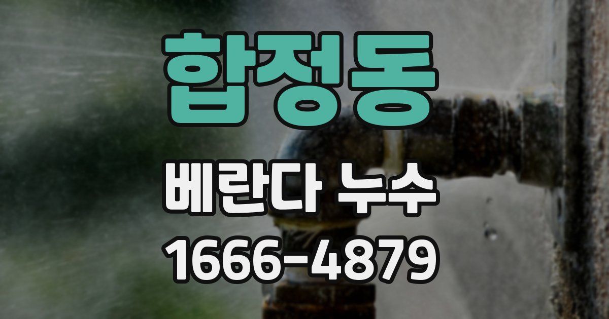 합정동 베란다 누수