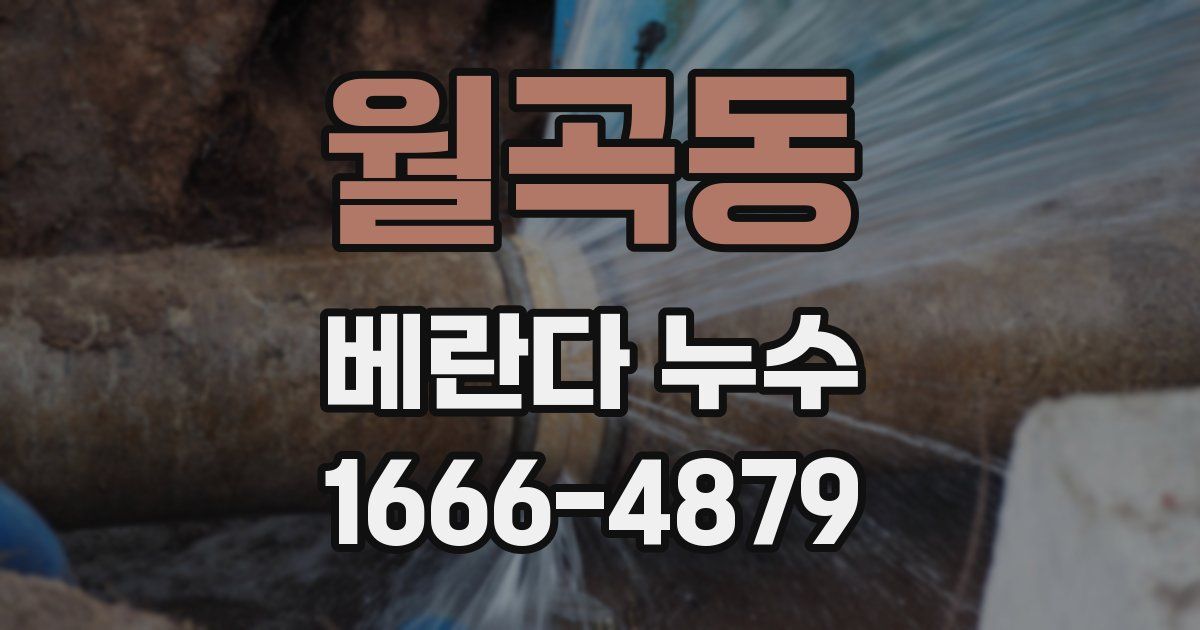 월곡동 베란다 누수