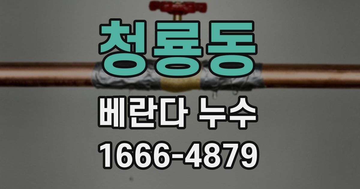 청룡동 베란다 누수