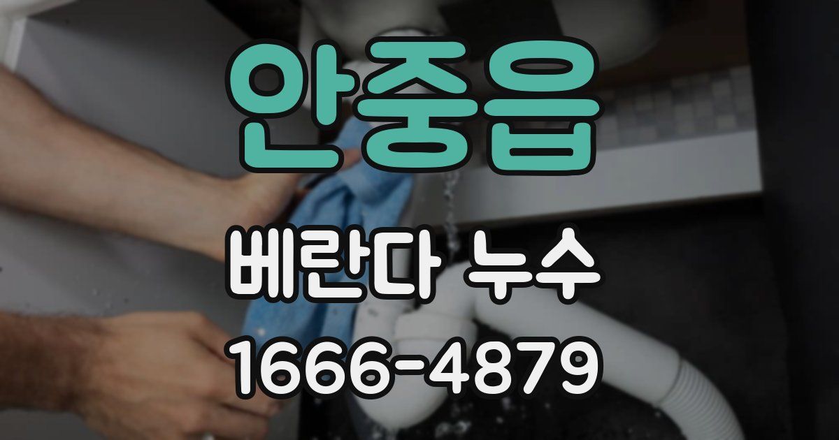안중읍 베란다 누수