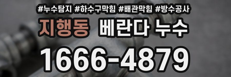 지행동 베란다 누수