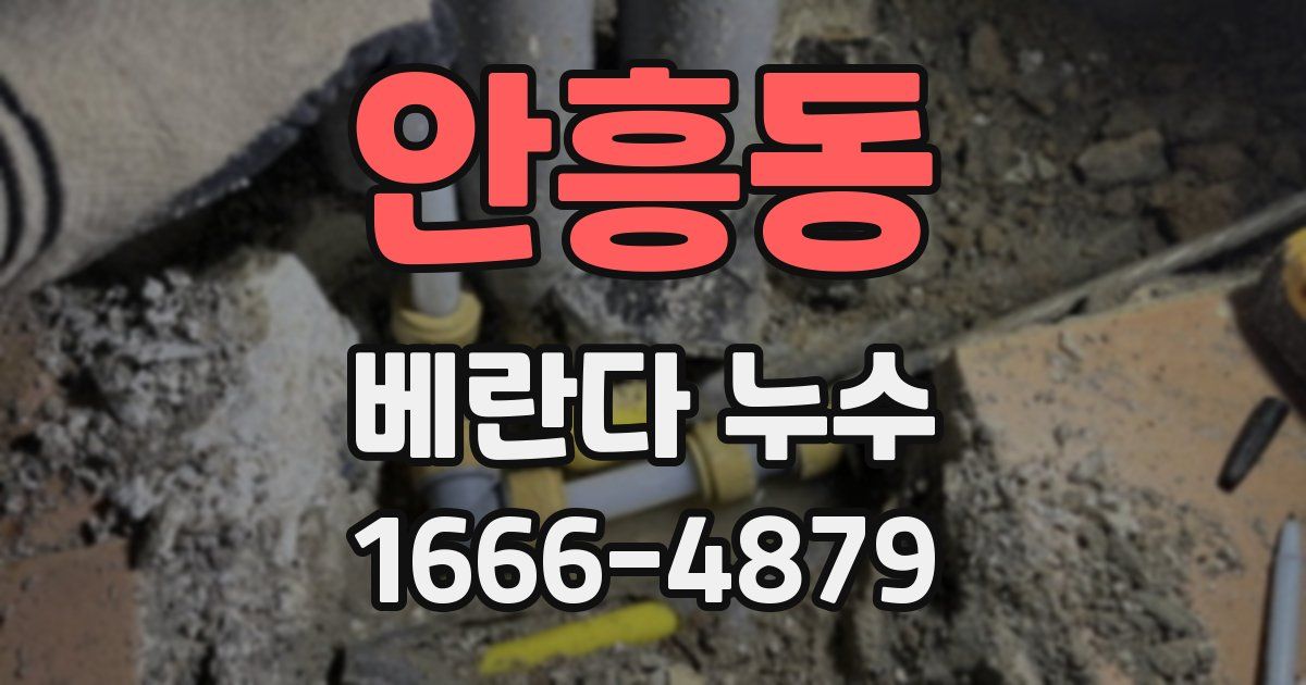 안흥동 베란다 누수