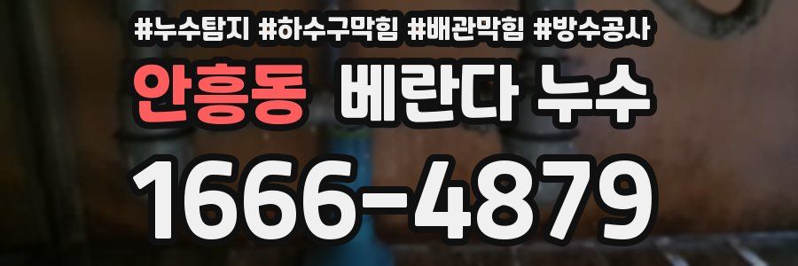 안흥동 베란다 누수
