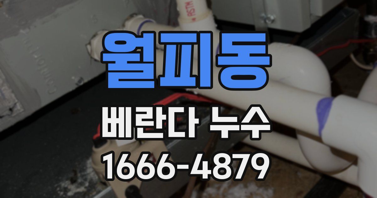 월피동 베란다 누수
