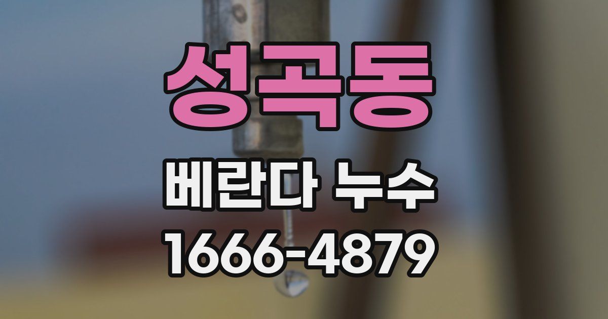 성곡동 베란다 누수