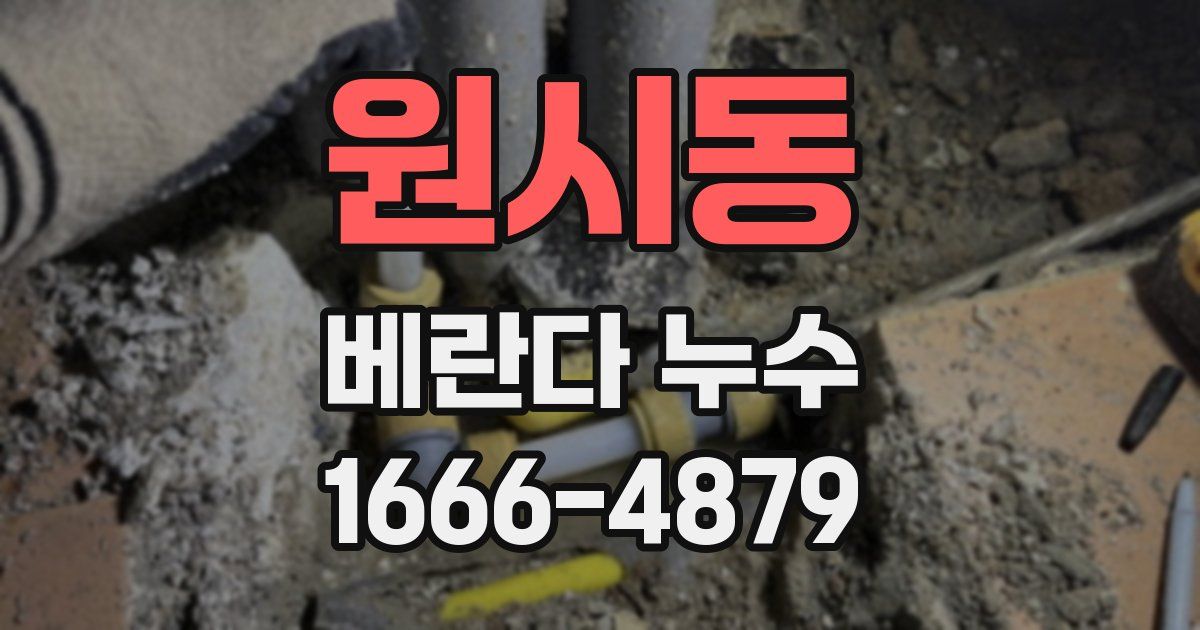 원시동 베란다 누수
