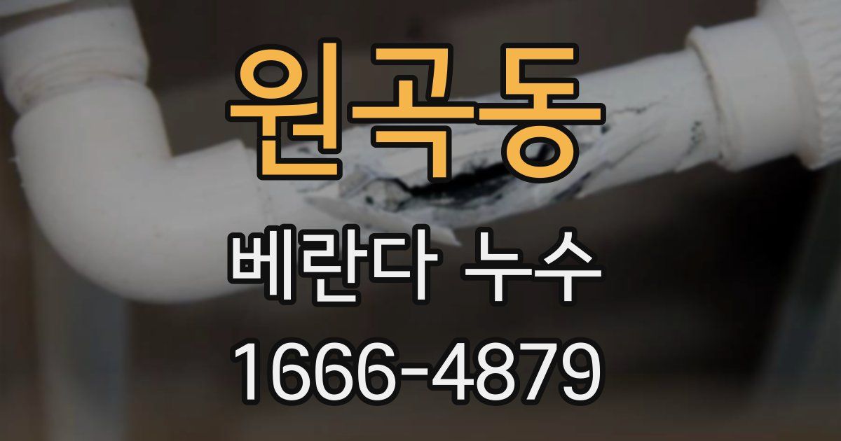원곡동 베란다 누수