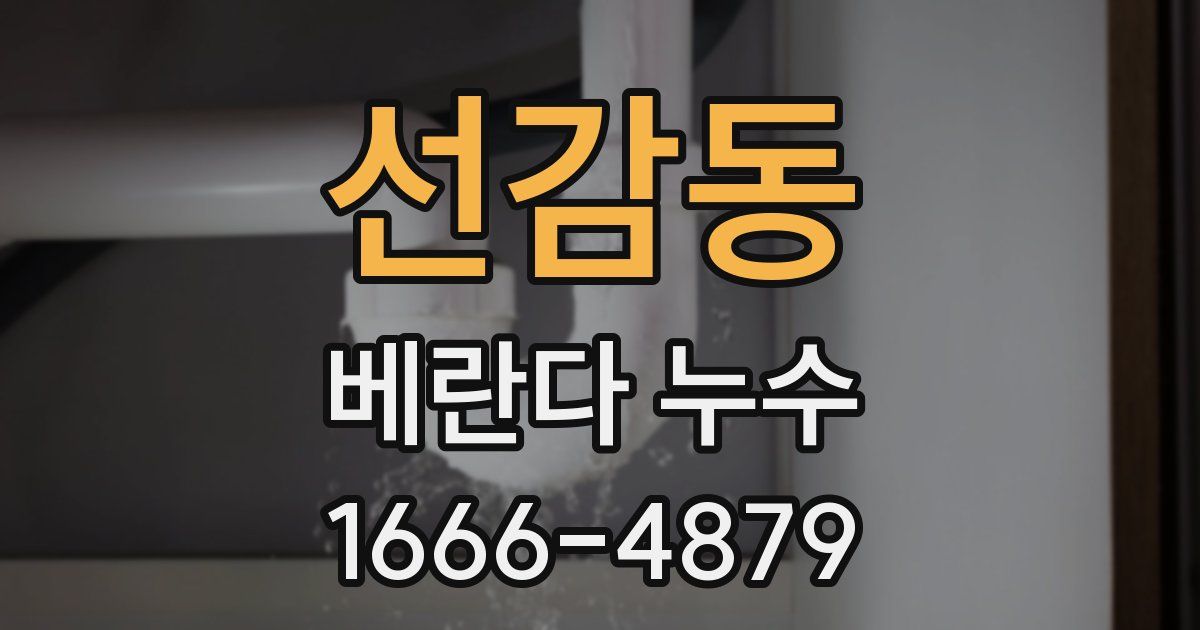 선감동 베란다 누수