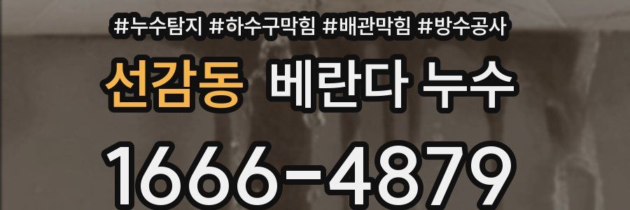 선감동 베란다 누수
