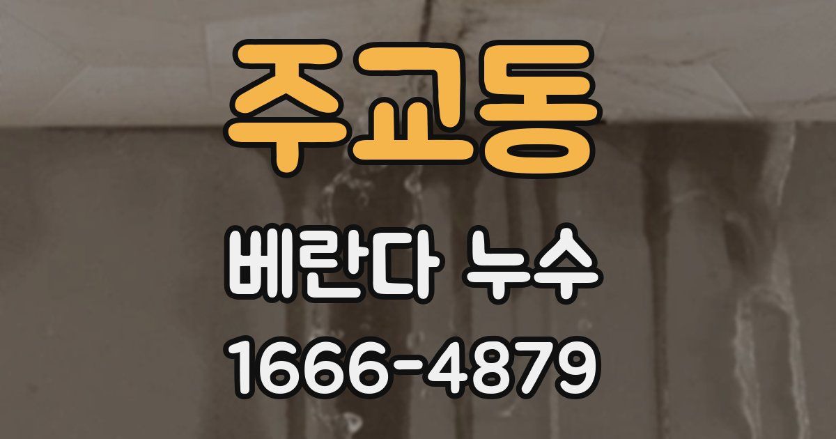 주교동 베란다 누수