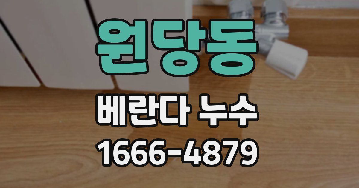 원당동 베란다 누수