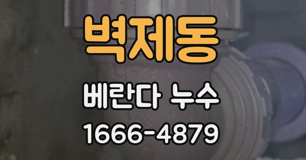 벽제동 베란다 누수