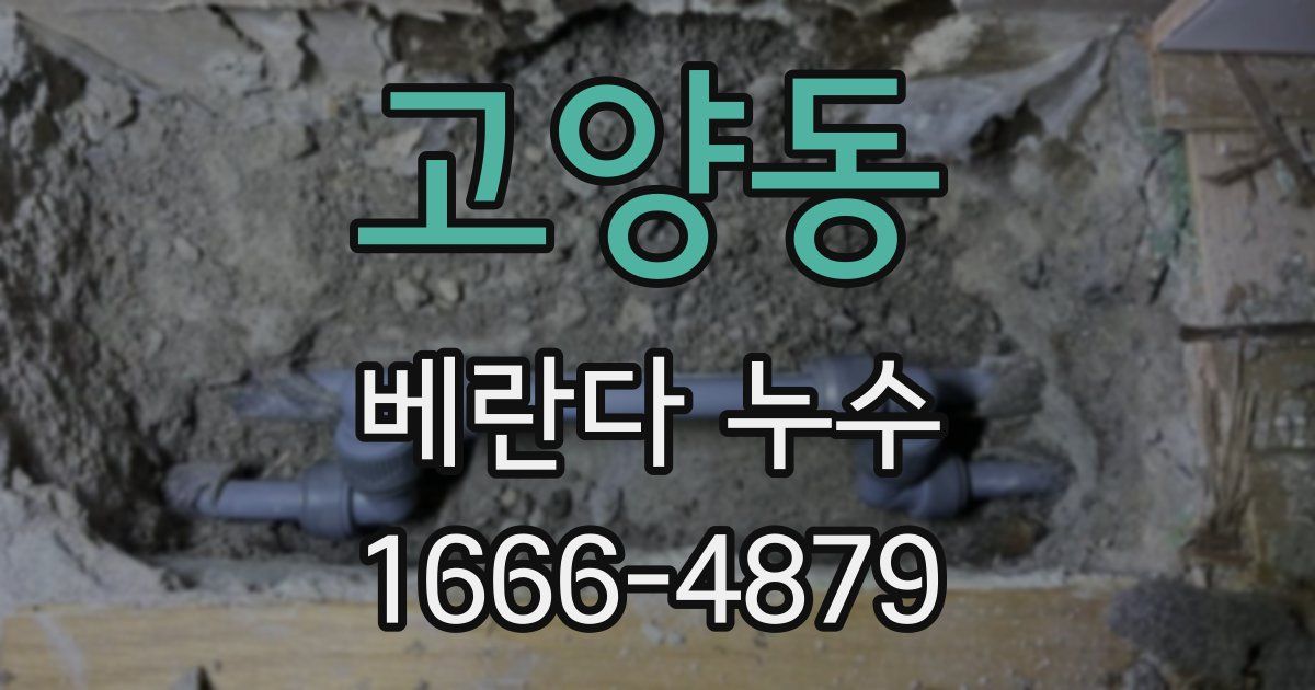 고양동 베란다 누수