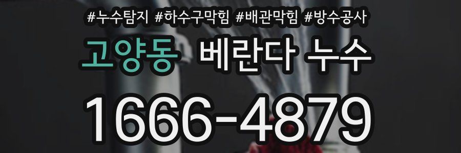 고양동 베란다 누수