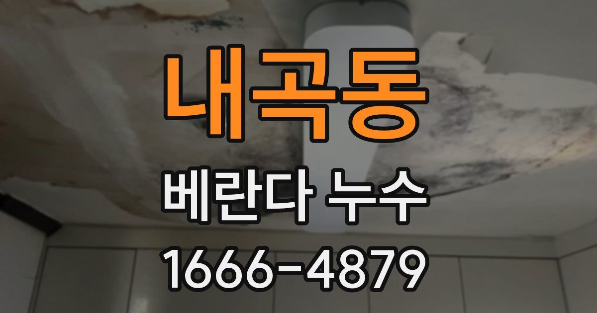 내곡동 베란다 누수