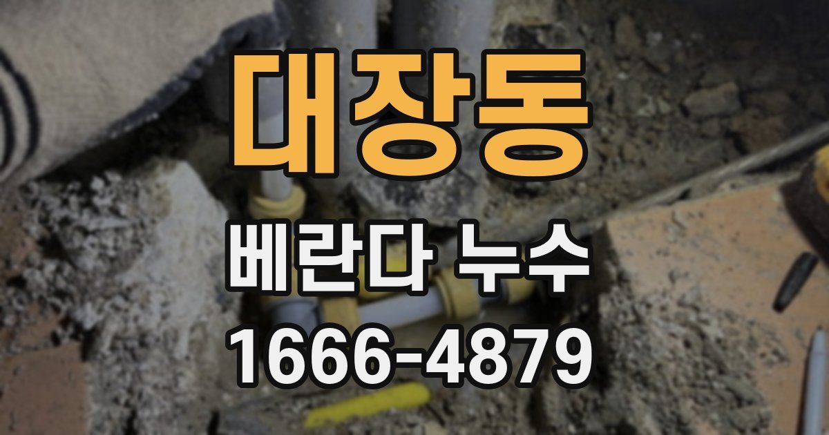 대장동 베란다 누수