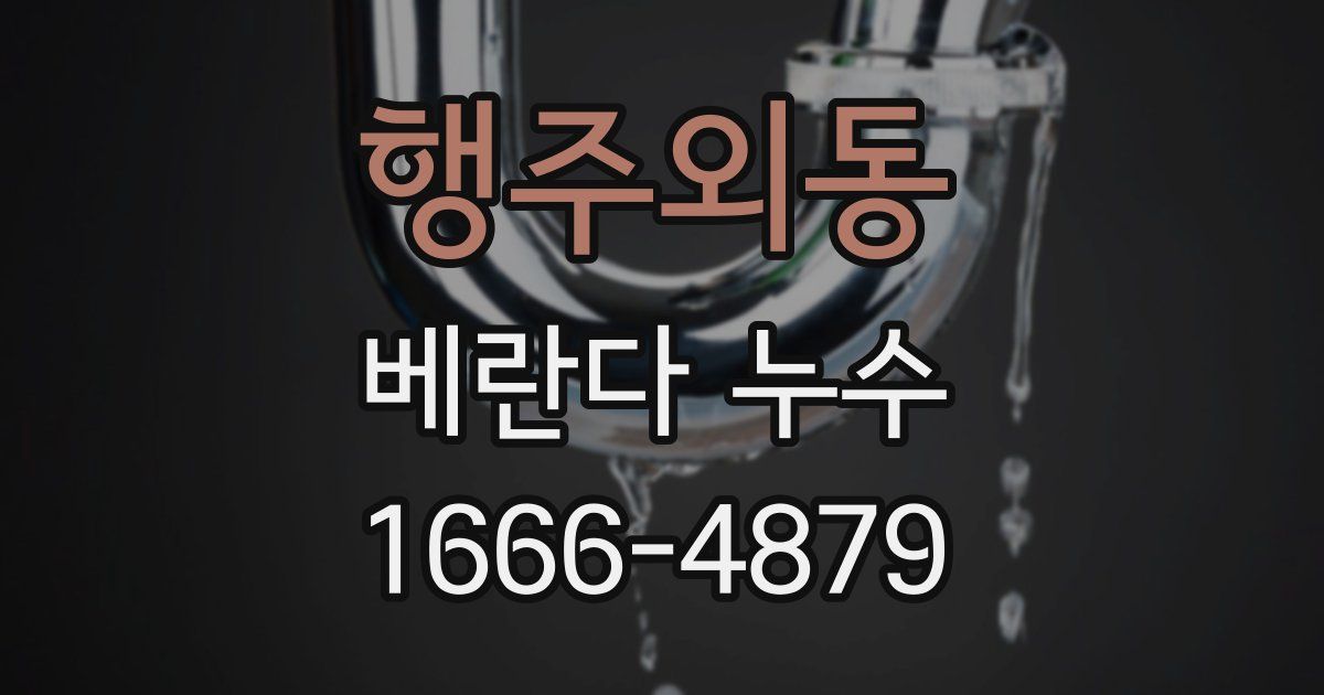 행주외동 베란다 누수